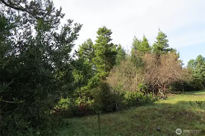 326 Wildwood Avenue SE, Ocean Shores, WA 98569 - Photo 3