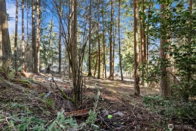 0 Angler's Haven Drive, Oak Harbor, WA 98277 - Photo 9