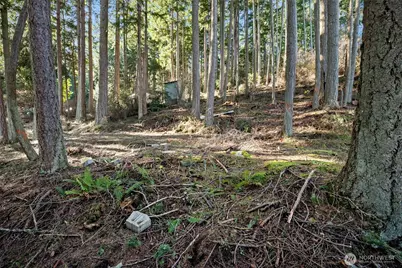 0 Angler's Haven Drive, Oak Harbor, WA 98277 - Photo 11