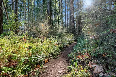 0 Angler's Haven Drive, Oak Harbor, WA 98277 - Photo 19