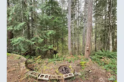 91 N Gadwall Place N, Hoodsport, WA 98548 - Photo 23