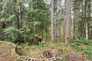 91 N Gadwall Pl N, Hoodsport, WA 98548 - Photo 23