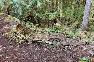 91 N Gadwall Pl N, Hoodsport, WA 98548 - Photo 21