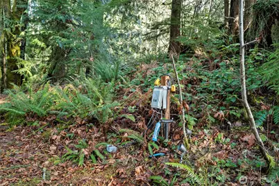 941 N Potlatch Drive, Hoodsport, WA 98548 - Photo 31