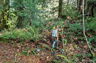 941 N Potlatch Dr, Hoodsport, WA 98548 - Photo 31