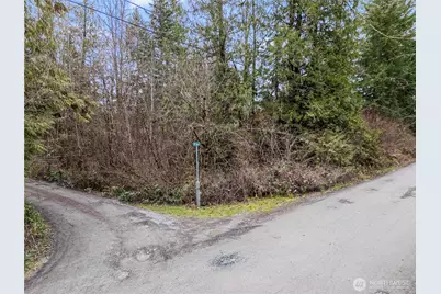 29909 68th Avenue S, Roy, WA 98580 - Photo 3