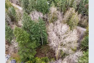 29909 68th Avenue S, Roy, WA 98580 - Photo 5