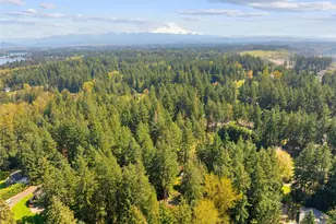 16816 43rd St Ct E, Lake Tapps, WA 98391 - Photo 37