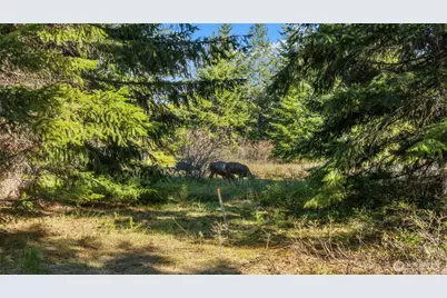 90 Gold Fountain Lane, Cle Elum, WA 98922 - Photo 5