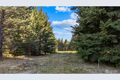 90 Gold Fountain Lane, Cle Elum, WA 98922 - Photo 3