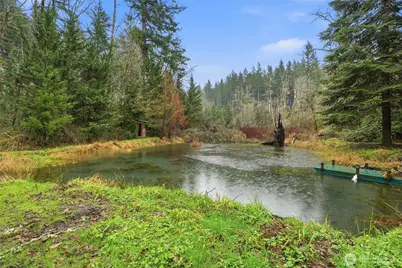 40408 NE Cedar Ridge Road, Amboy, WA 98601 - Photo 37