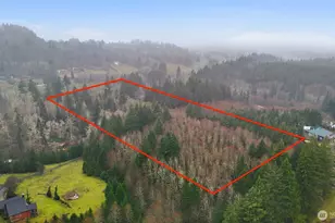 40408 NE Cedar Ridge Rd, Amboy, WA 98601 - Photo 39