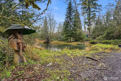 40408 NE Cedar Ridge Road, Amboy, WA 98601 - Photo 3