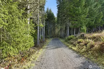 211 Echo Road, Rochester, WA 98579 - Photo 37