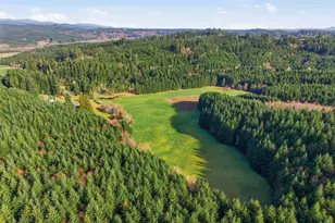 211 Echo Rd, Rochester, WA 98579 - Photo 3