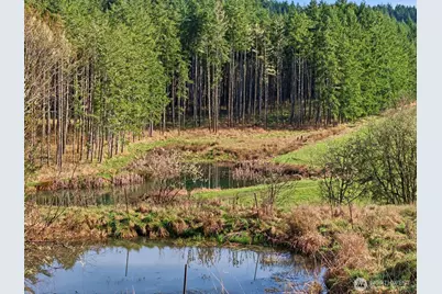 211 Echo Road, Rochester, WA 98579 - Photo 11