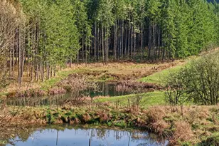 211 Echo Rd, Rochester, WA 98579 - Photo 11