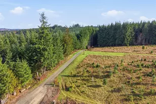 211 Echo Rd, Rochester, WA 98579 - Photo 37