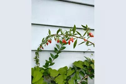 943 23rd Avenue, Seattle, WA 98122 - Photo 35