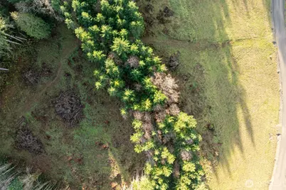 0 Silverwood Drive #D2, Castle Rock, WA 98611 - Photo 7