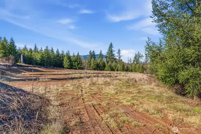 22310 NE Dole Valley Road, Yacolt, WA 98675 - Photo 3