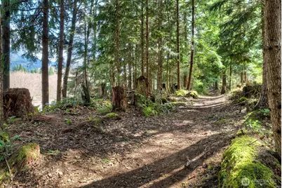 62304 Corral Way E, Greenwater, WA 98022 - Photo 31