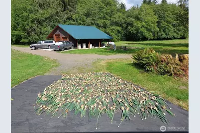 2298 Undie Road, Forks, WA 98331 - Photo 37