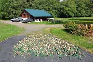 2298 Undie Rd, Forks, WA 98331 - Photo 37