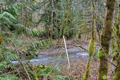 7738 Maple Drive, Maple Falls, WA 98266 - Photo 5