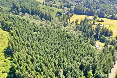 1668 King Road, Winlock, WA 98596 - Photo 7