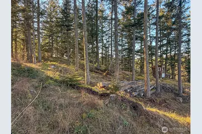 1407 Obstruction Pass Road, Orcas Island, WA 98245 - Photo 25