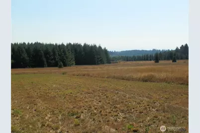 0 Xx Maxine Drive, Winlock, WA 98596 - Photo 5