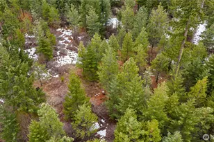 4613 Swiftwater Dr, Cle Elum, WA 98922 - Photo 7