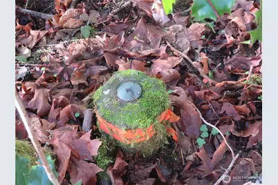 4223 Johnson Point Road NE, Olympia, WA 98516 - Photo 5