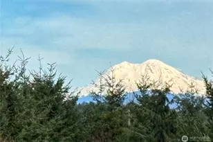 72 Blue Mountain Rd, Castle Rock, WA 98611 - Photo 39