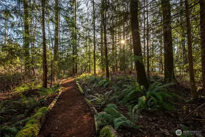 31535 NE 114th Street, Carnation, WA 98014 - Photo 27