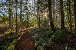 31535 NE 114th St, Carnation, WA 98014 - Photo 27