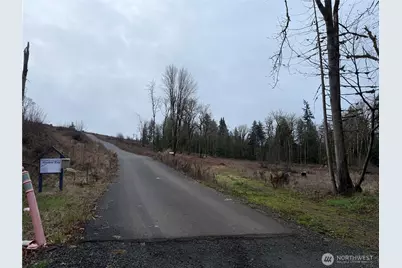 3 Track Rimstone Loop, Belfair, WA 98528 - Photo 5