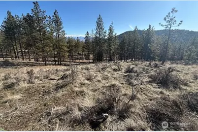 171 Garrett, Tonasket, WA 98855 - Photo 21