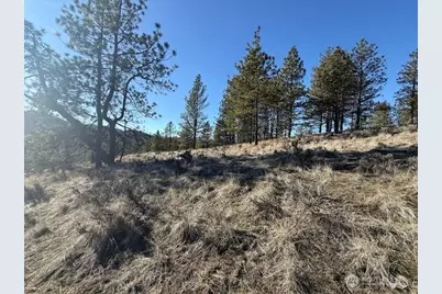 171 Garrett, Tonasket, WA 98855 - Photo 23