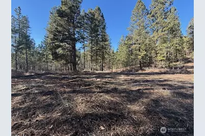 171 Garrett, Tonasket, WA 98855 - Photo 29