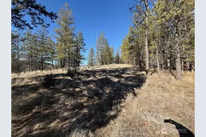 171 Garrett, Tonasket, WA 98855 - Photo 19