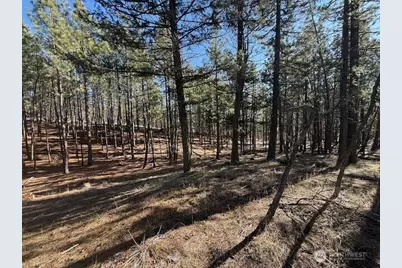 171 Garrett, Tonasket, WA 98855 - Photo 15