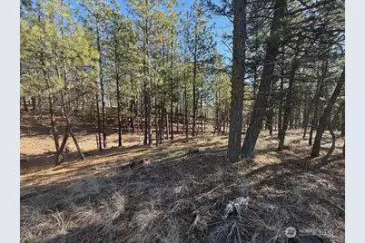 171 Garrett, Tonasket, WA 98855 - Photo 13