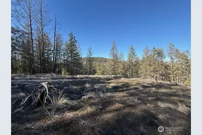 171 Garrett, Tonasket, WA 98855 - Photo 3