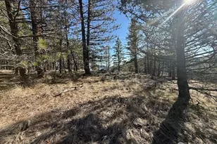 171 Garrett, Tonasket, WA 98855 - Photo 1