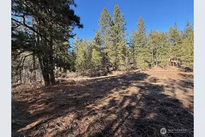 171 Garrett, Tonasket, WA 98855 - Photo 31