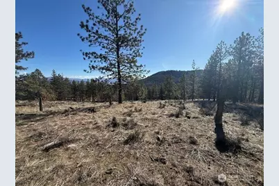 171 Garrett, Tonasket, WA 98855 - Photo 17