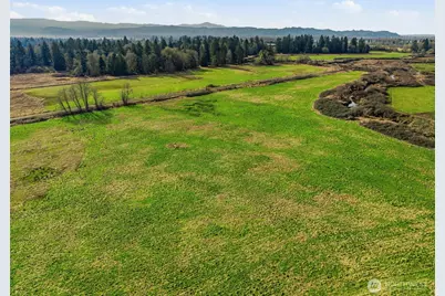 957 W State Route 4, Cathlamet, WA 98612 - Photo 5