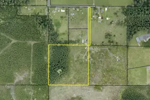 196 Allman Rd, Winlock, WA 98596 - Photo 1